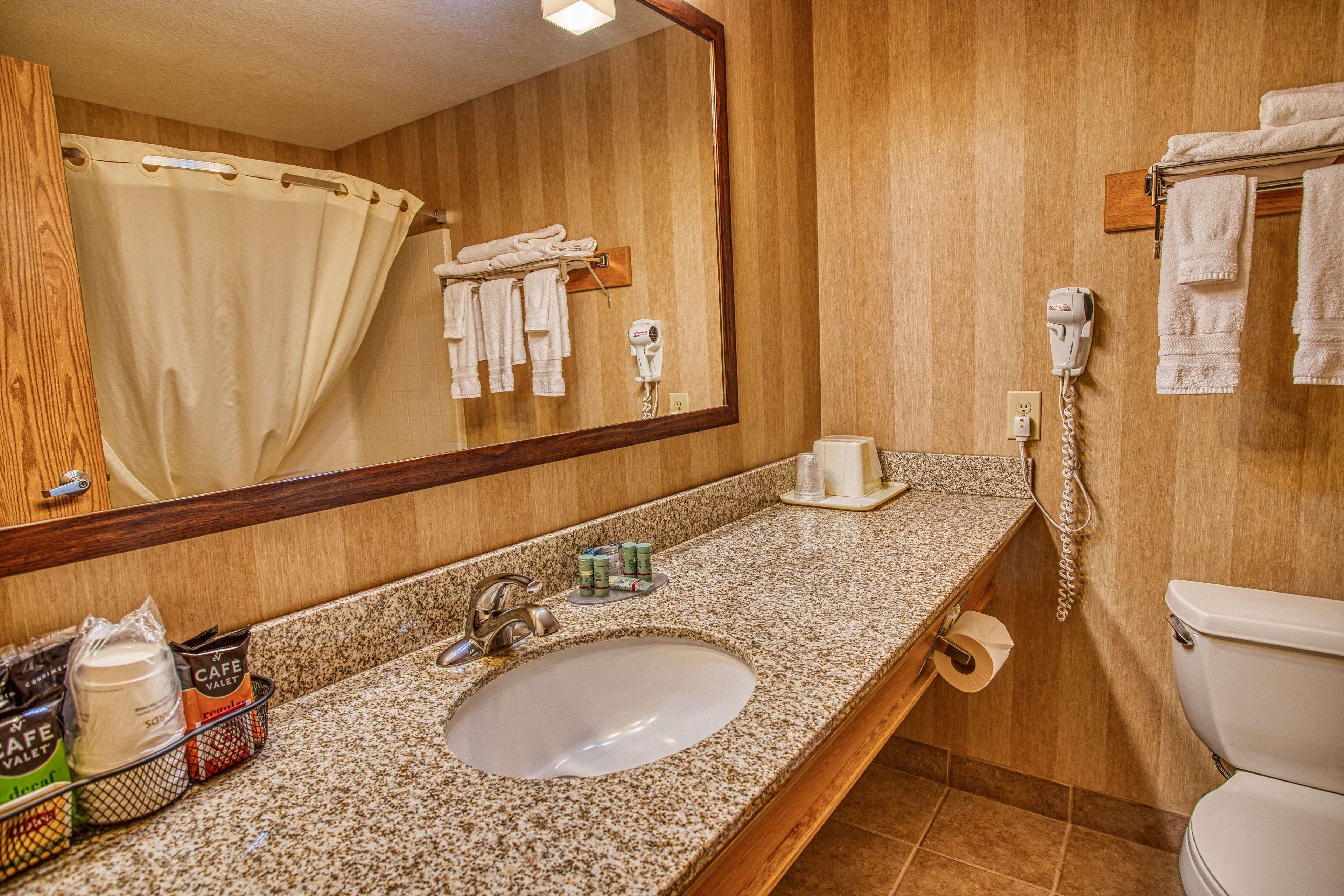 2 Rooms, Suite, Apartment, Queen Bed, Kitchen