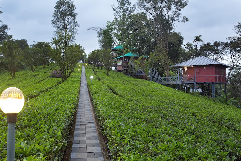 Dream Catcher Plantation Resort 34/50