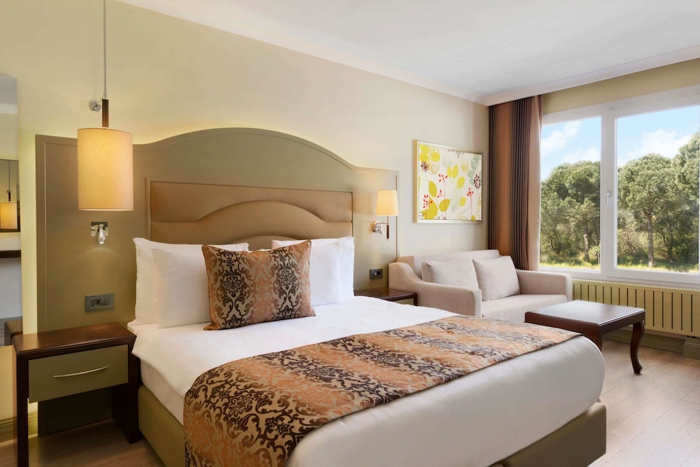 Ramada Resort by Wyndham Kazdaglari Thermal and Spa 18/58