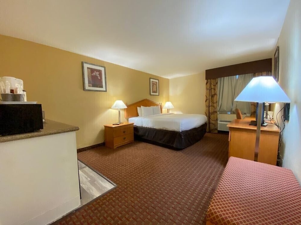 1 Bedroom, Deluxe, Single, King Bed