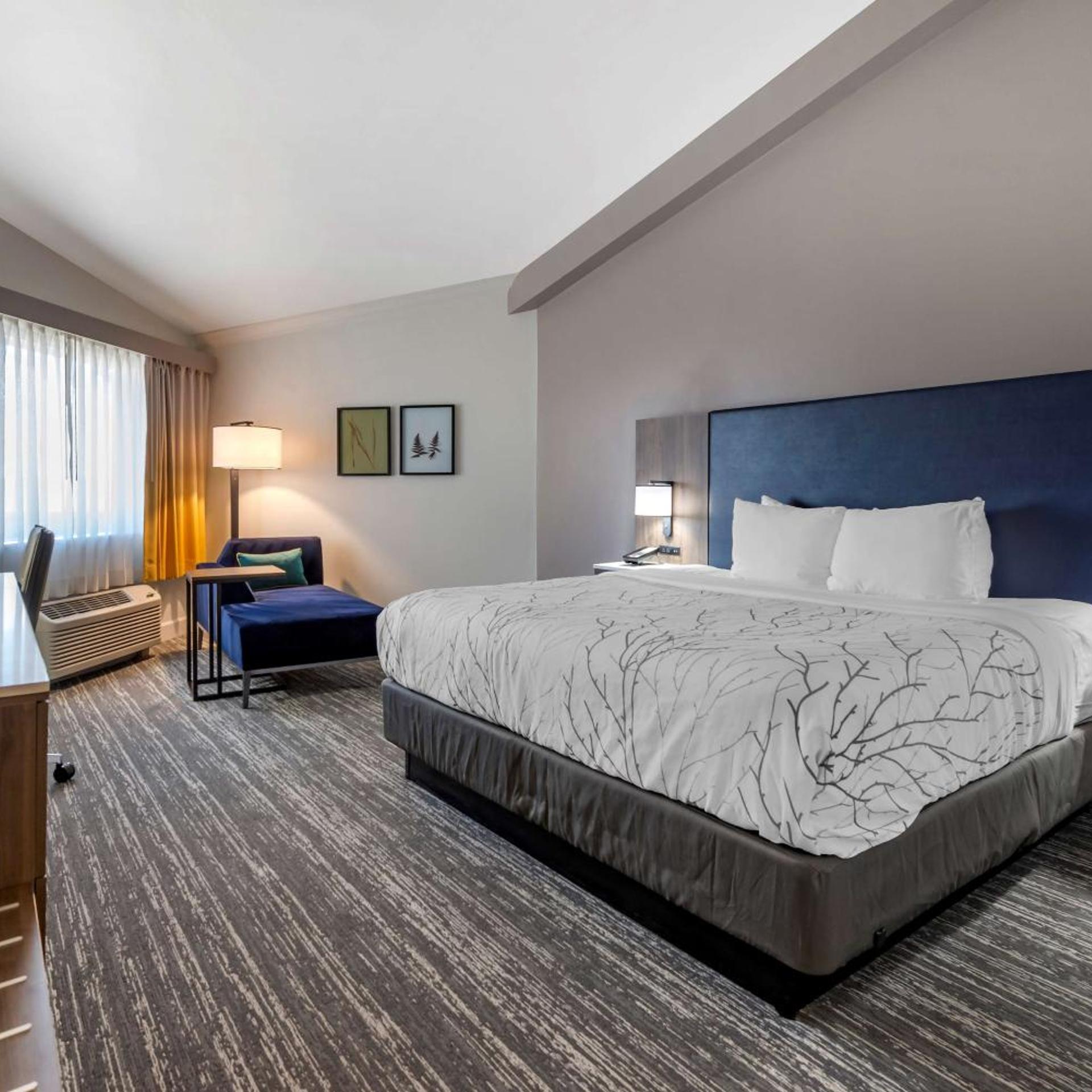 Room, King Bed, Sofa, Accessible