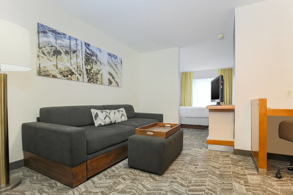 Springhill Suites By Marriott Houston Brookhollow 25/41