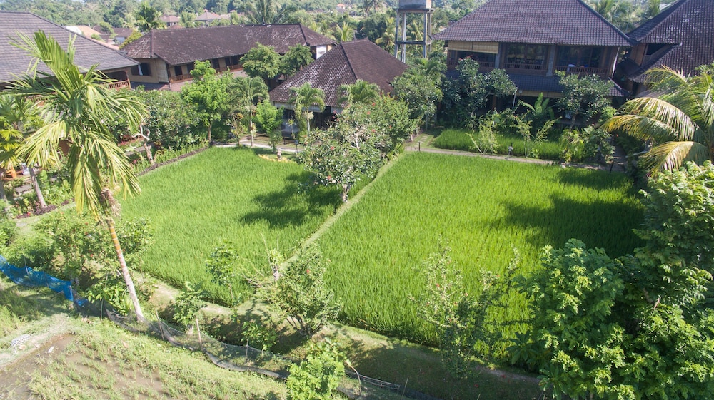 Bliss Ubud Spa Resort 59/71