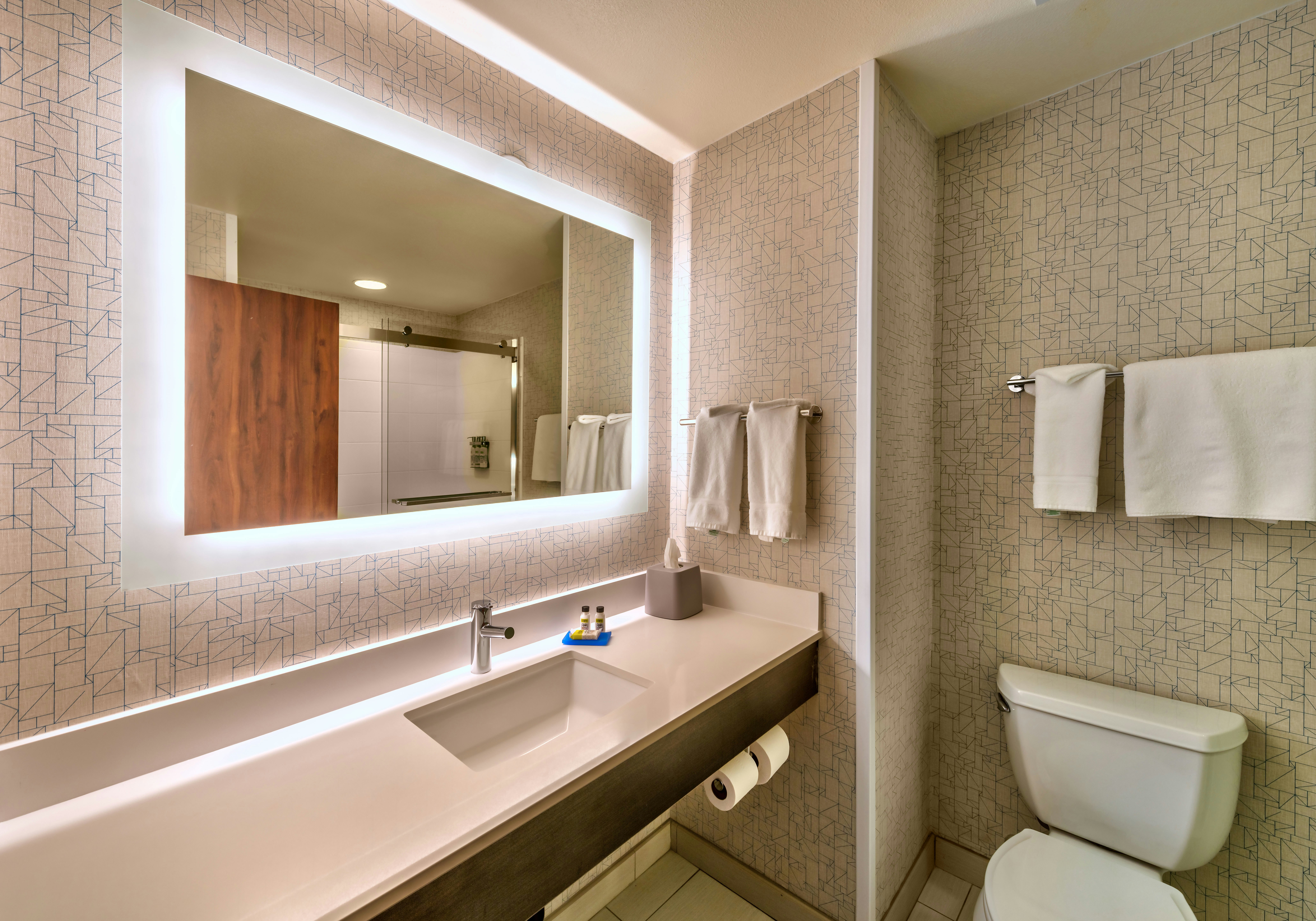 Holiday Inn Express Hotel & Suites Minden 41/42