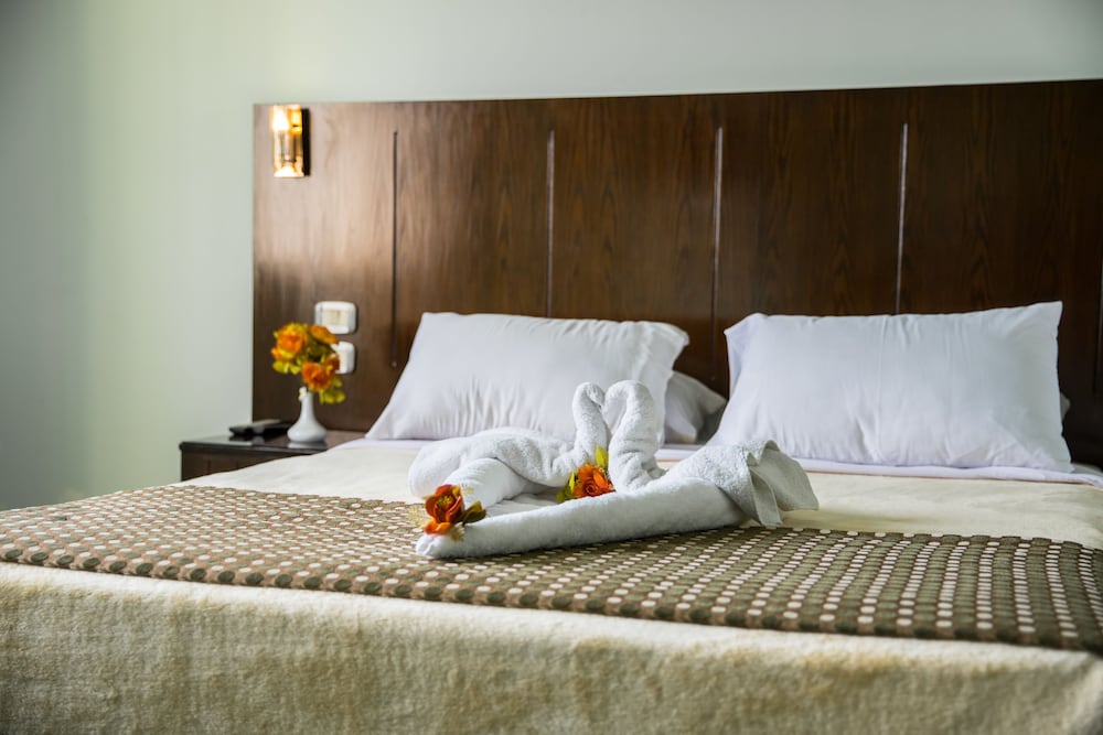 Aura Inn Hotel Cairo 24/62