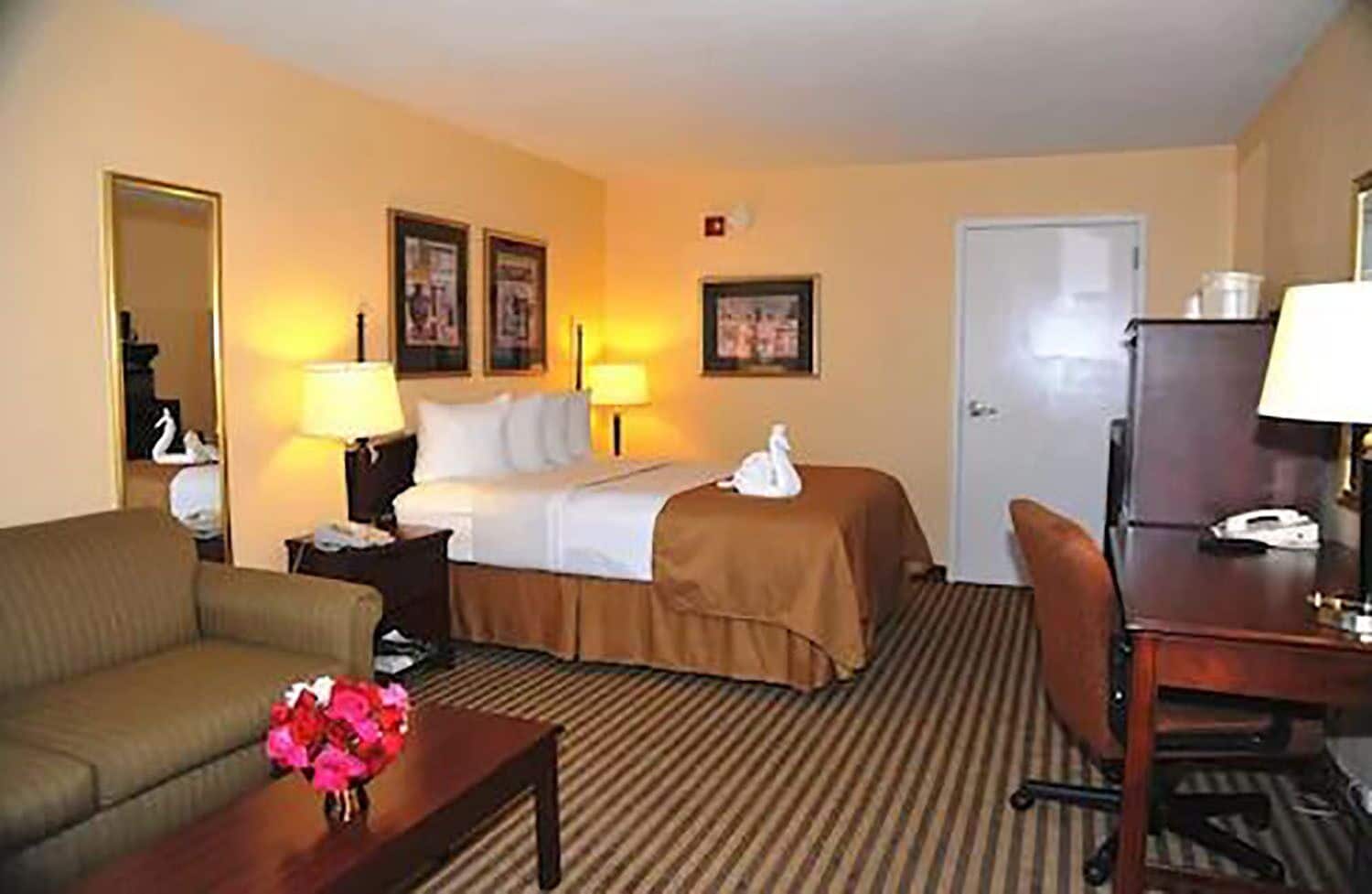 Room, King Bed, Sofa