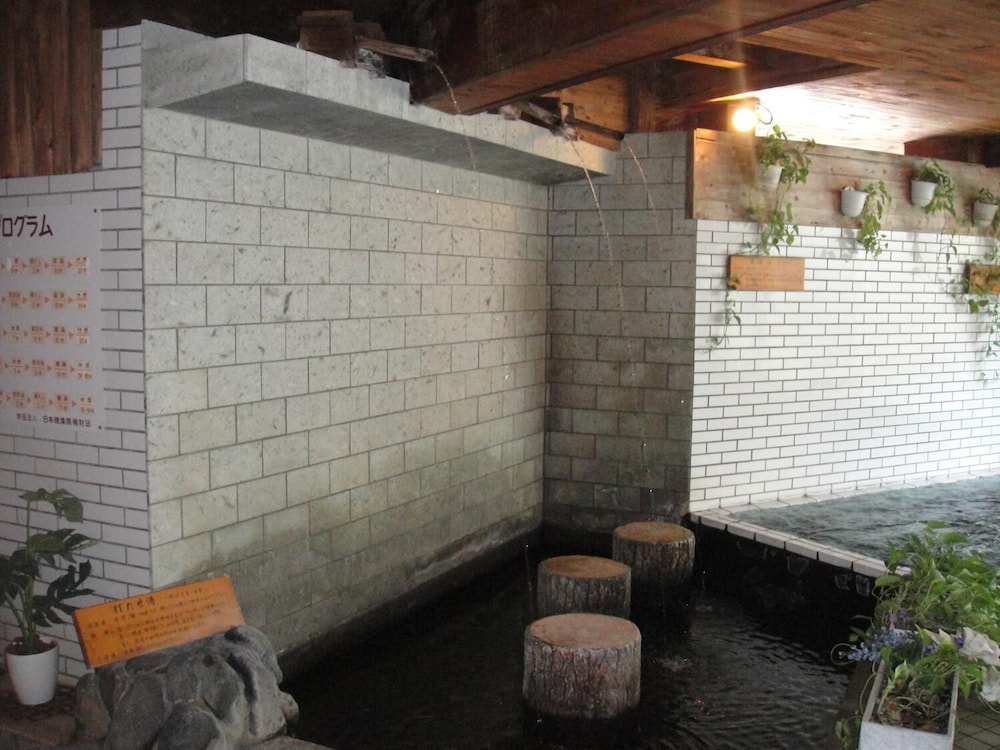 Kurhaus Ishibashi Ryokan 33/57