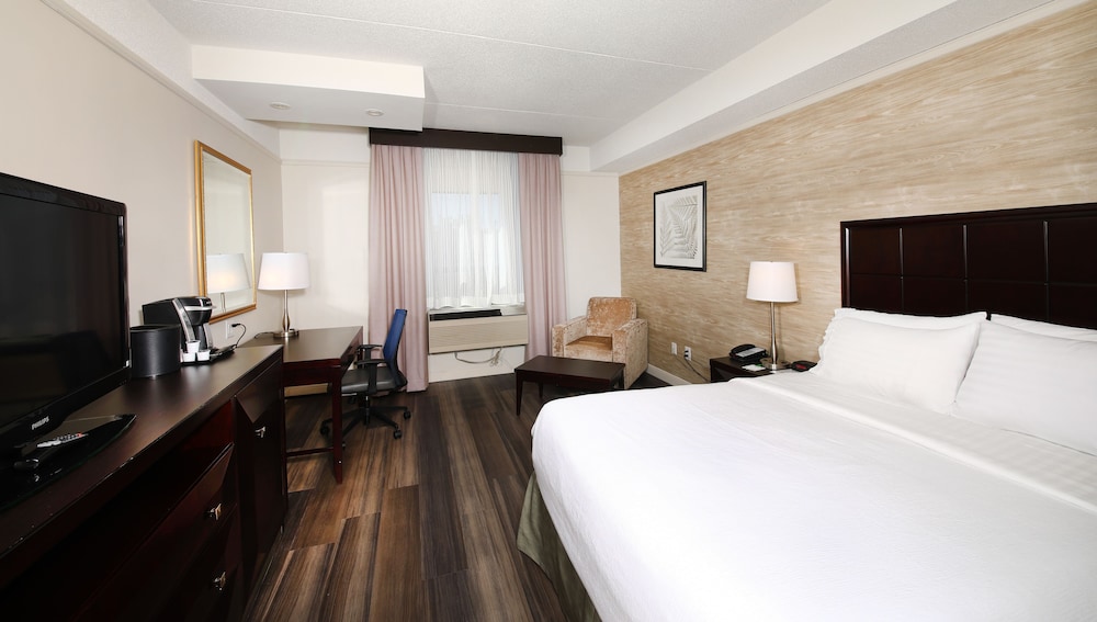 Holiday Inn Suites Windsor Ambassador Bridge 21/72