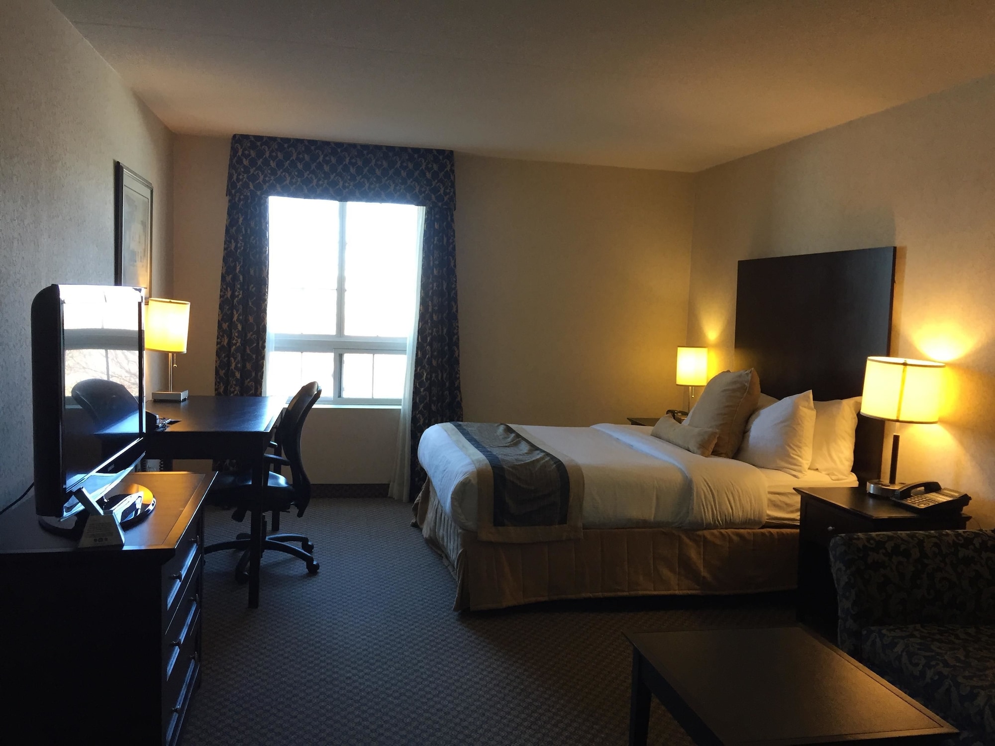 Standard, Queen Bed, Sofa, Best Western Milton 2/7