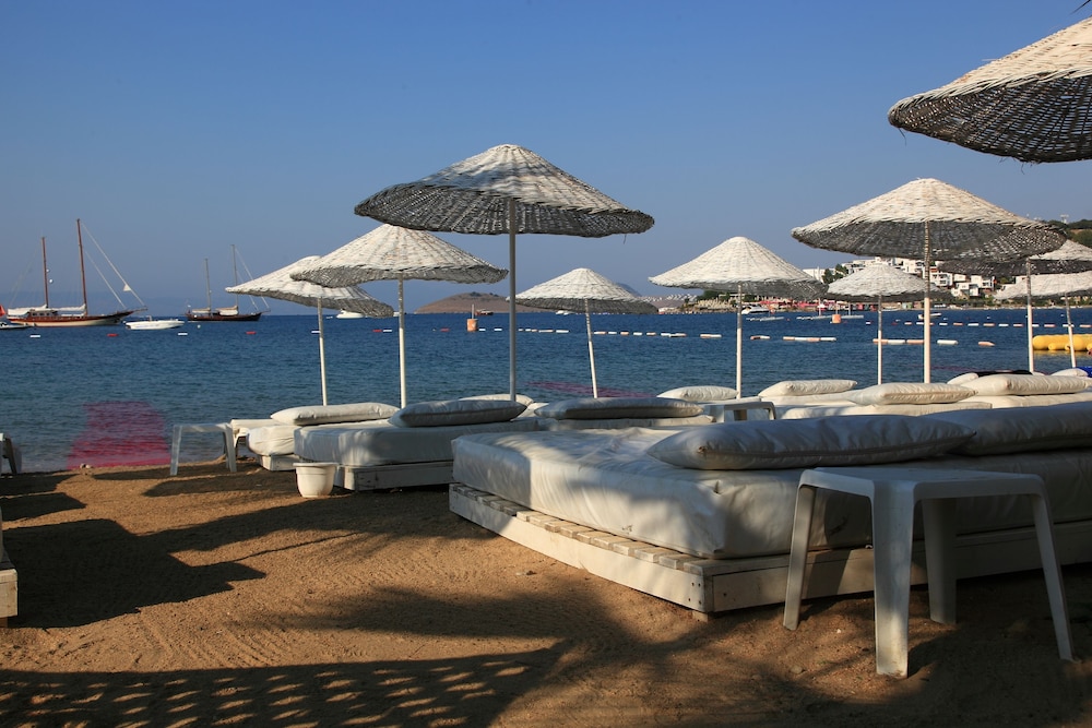 Okaliptus Otel 10/50