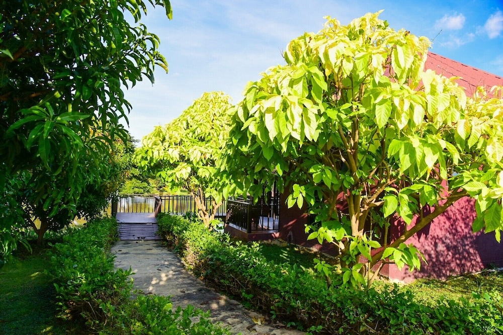 Banthongna 42/50