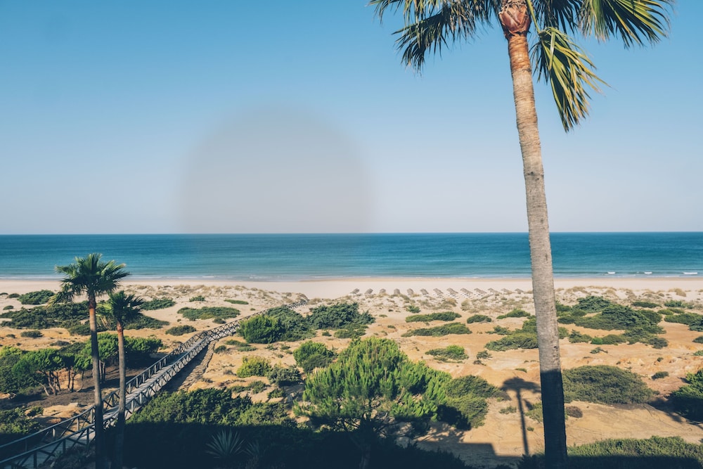 Iberostar Waves Royal Andalus 74/76