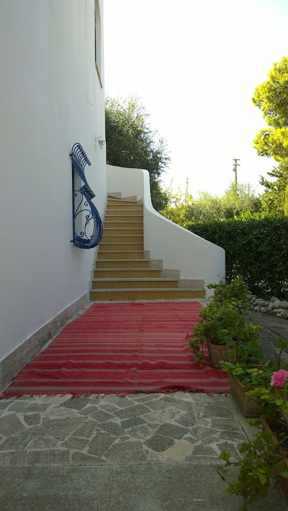 Tenuta Belvedere 42/50