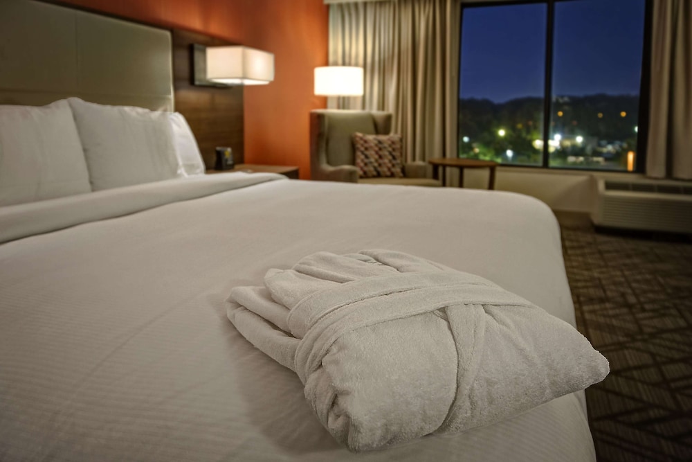 Hilton Knoxville Airport 19/81