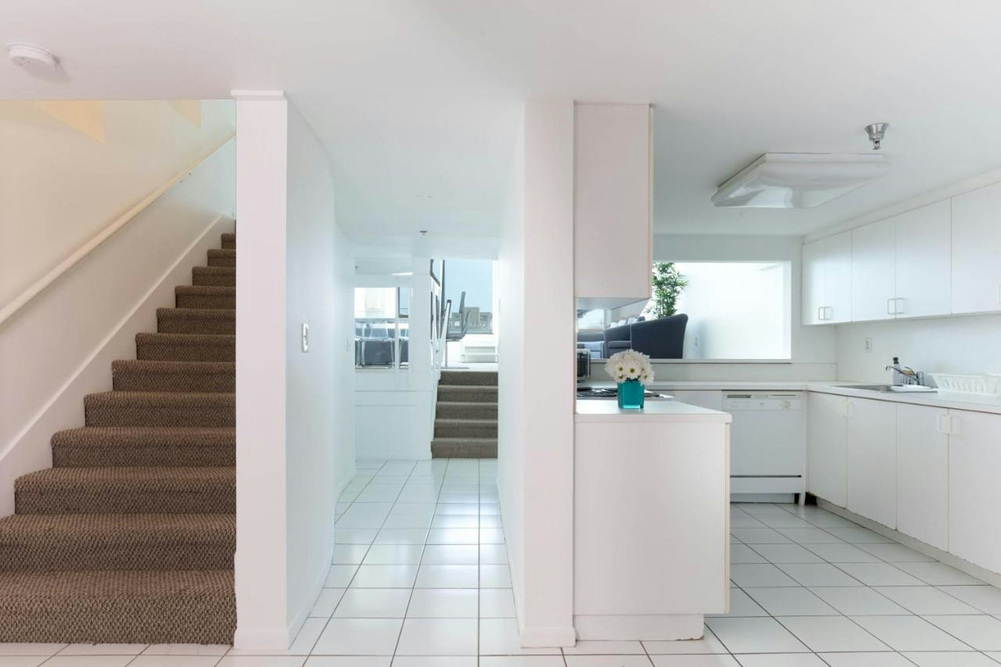 New Point Miami 53/54