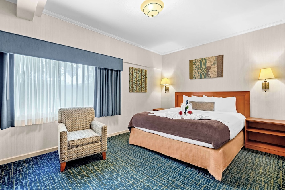 Suite, King Bed, Living Area