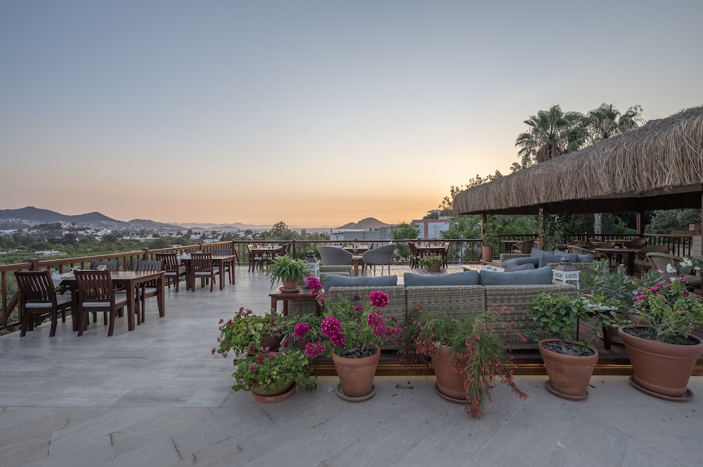4reasons Hotel And Bistro 49/76