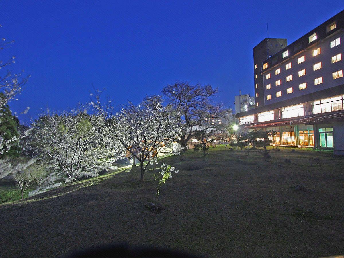 Oga Hotel 24/24