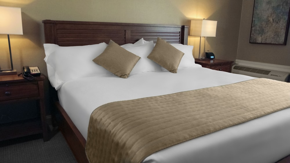 Ethan Allen Hotel 13/65