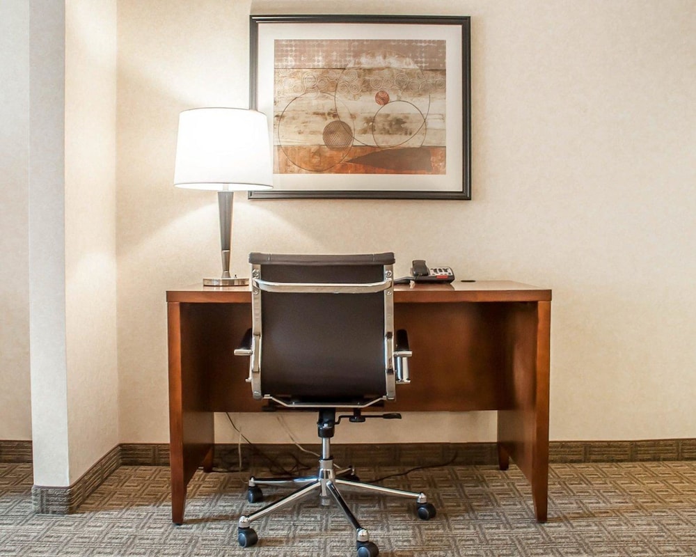 Comfort Inn & Suites Hamburg - Buffalo South 24/29