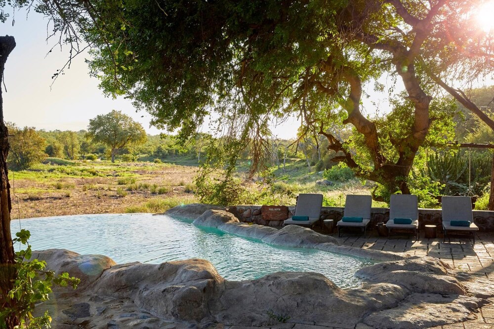 Motswari Private Game Reserve Timbavati 44/50