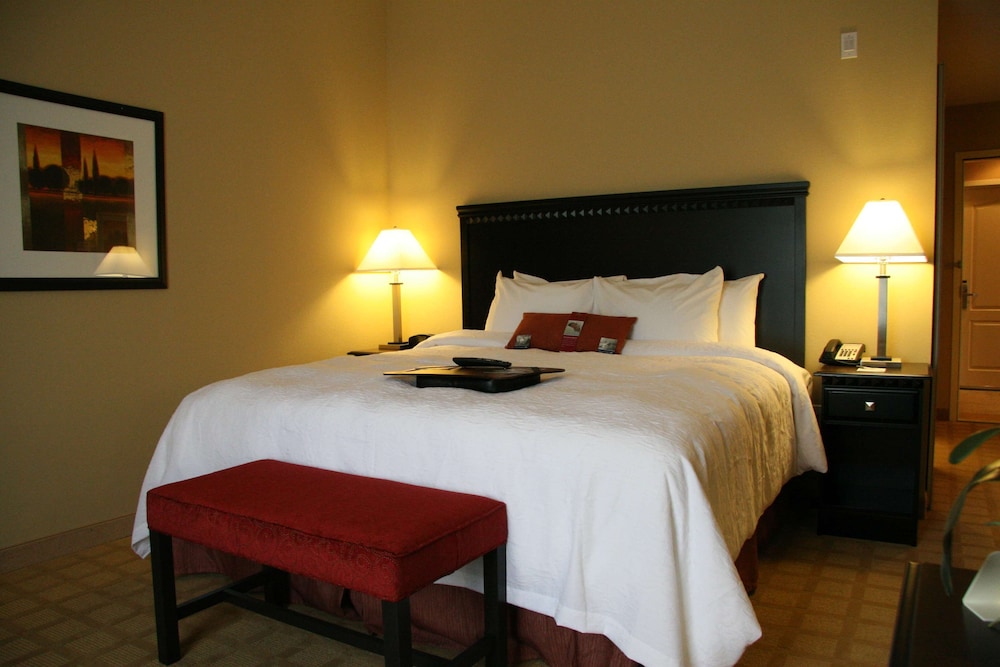 غرفة بسرير كينج لذوي الإعاقة، Hampton Inn Dade City Zephyrhills Fl 3/6