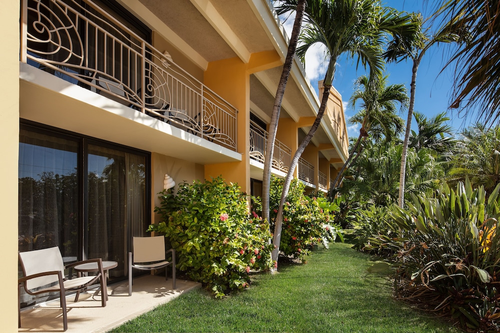Hampton Inn Key Largo 1/67
