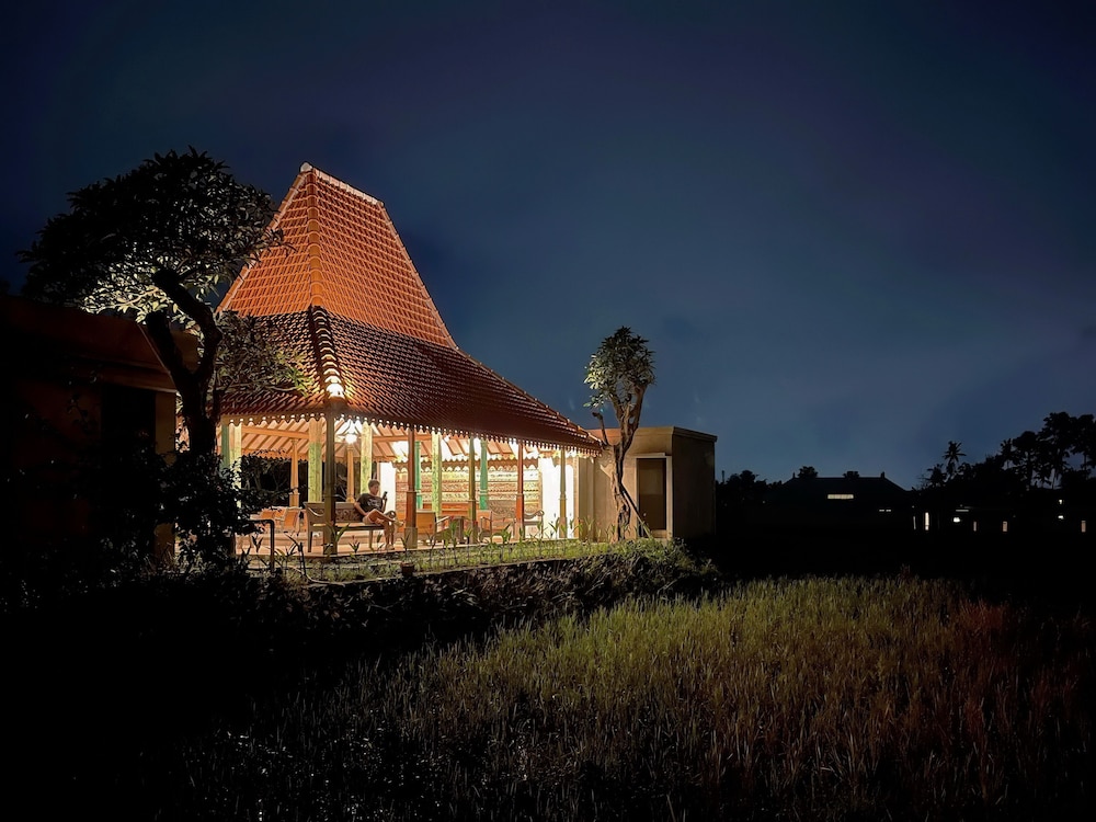 Ubud Diary 2/50