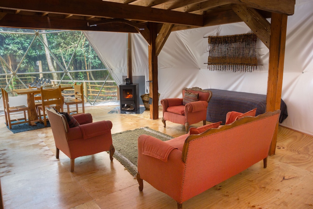 Cabanas Anulen Bosque Nativo 26/49
