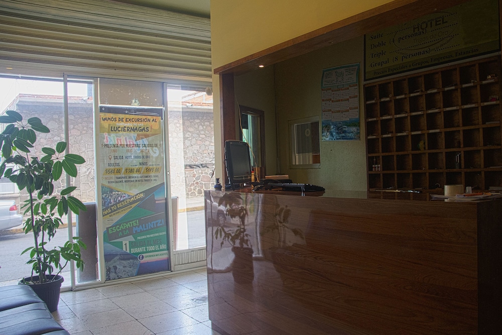 OYO Hotel Trigos De Oro San Luis Teolocholco Park 10/42