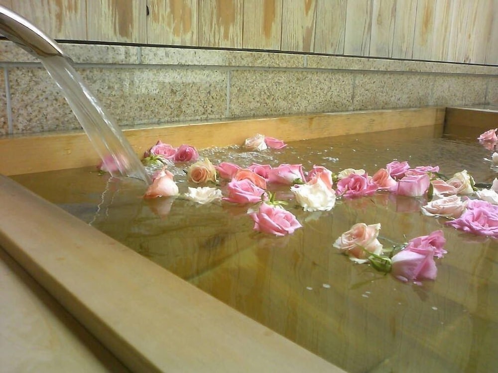 Ochanomizu Hotel Shoryukan 38/54