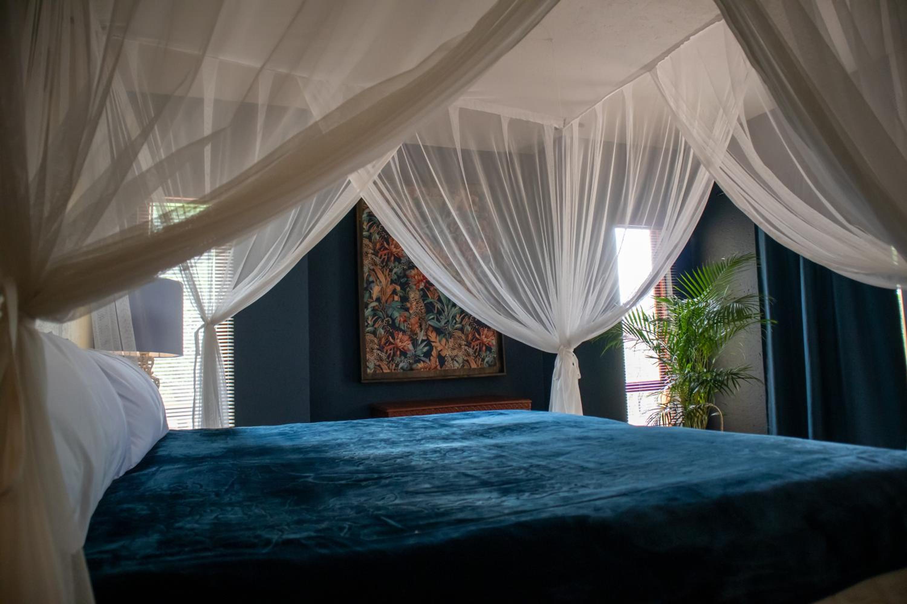 Elephant Game Lodge 11/56