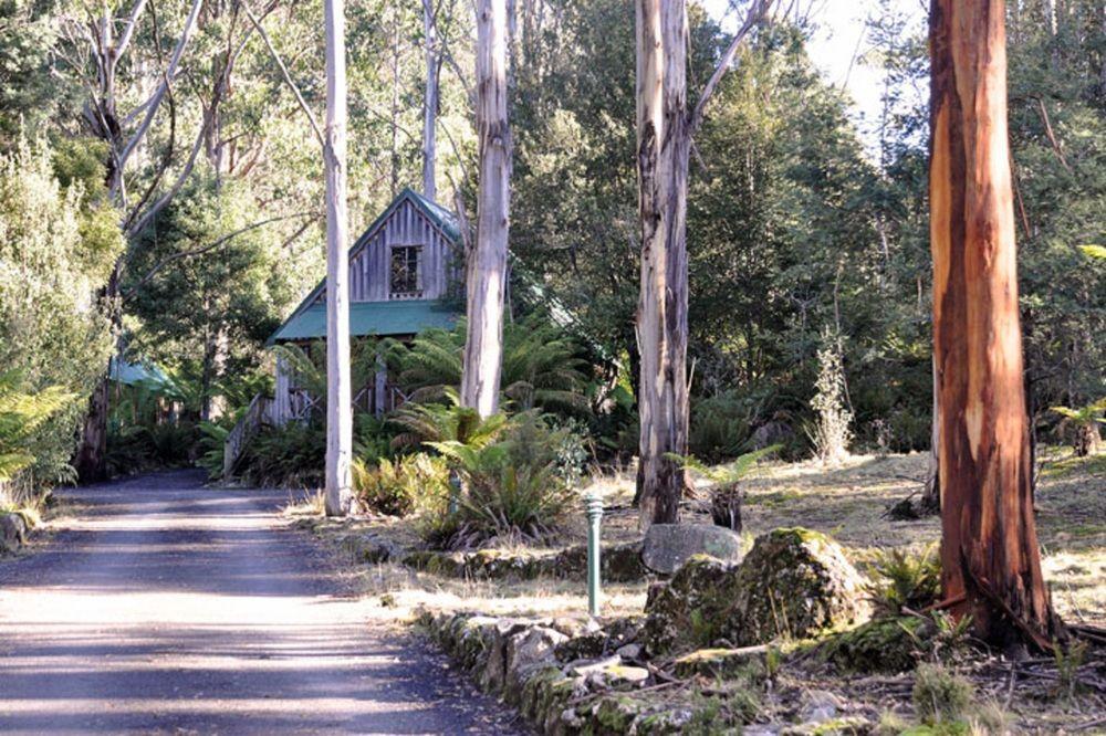 Lemonthyme Wilderness Retreat 20/27