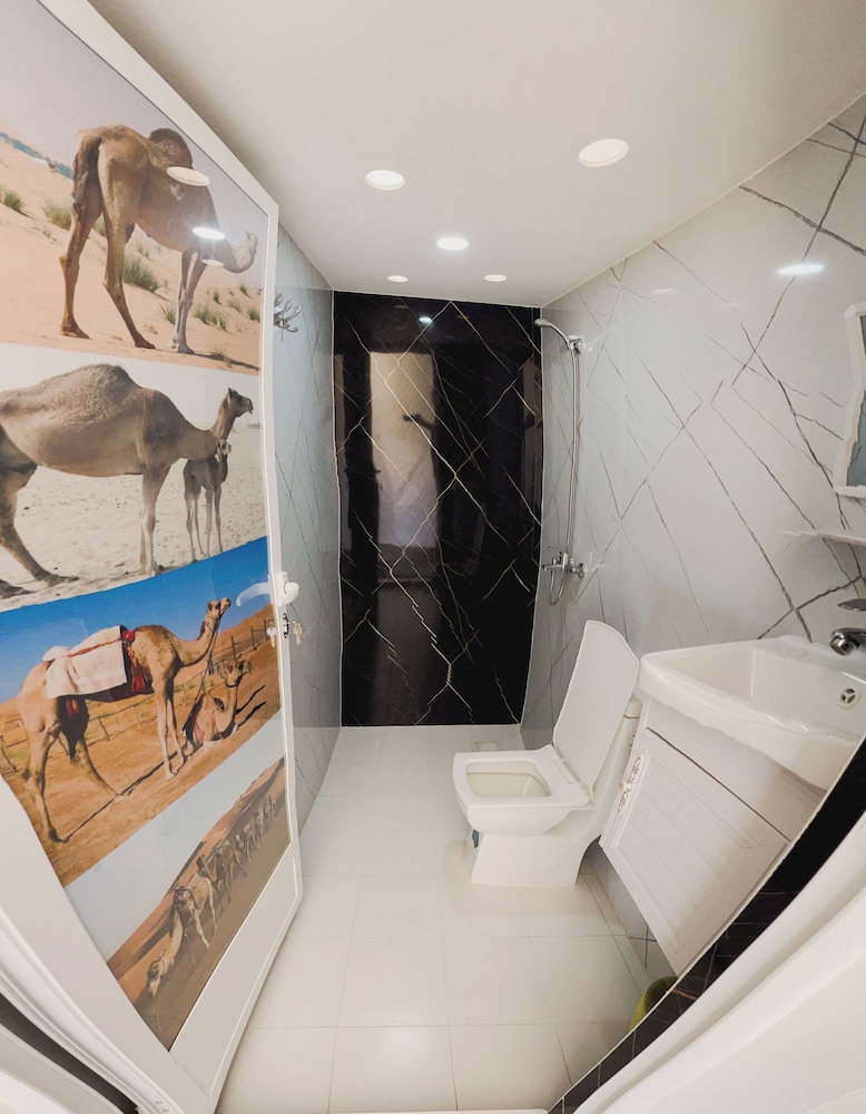 Luxury Desert Camp 10/50