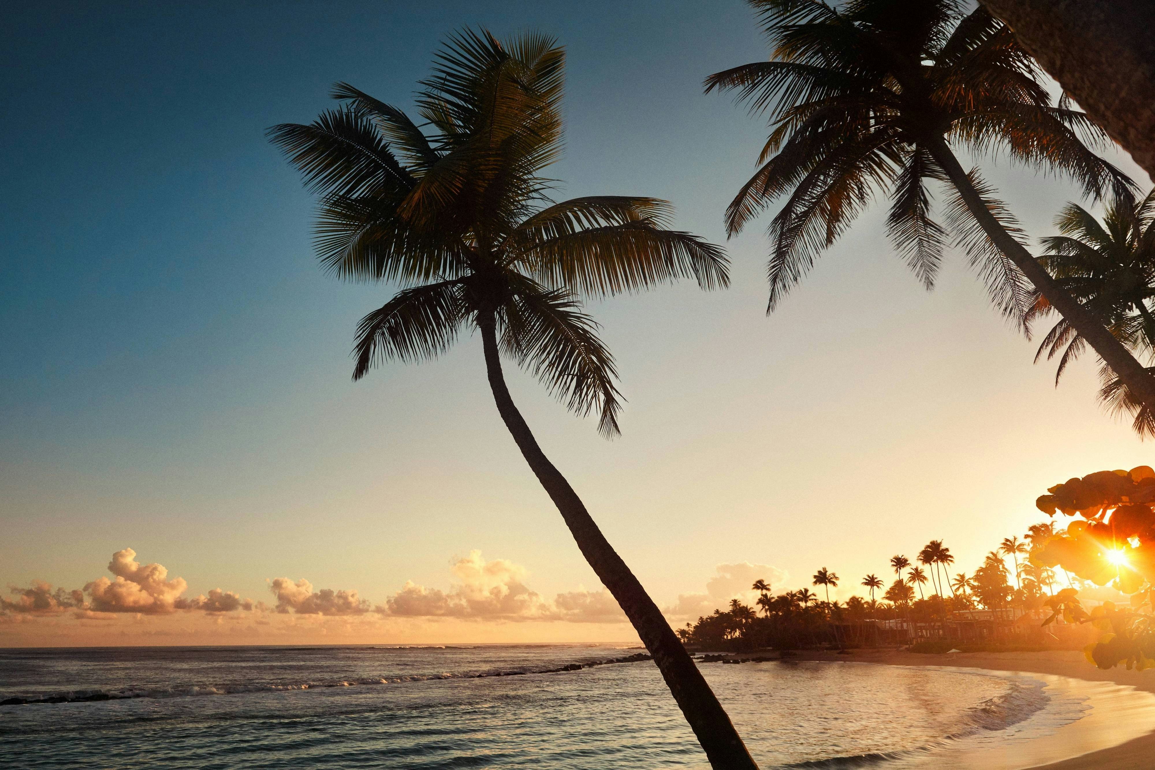 Dorado Beach A Ritz Carlton Reserve 28/47