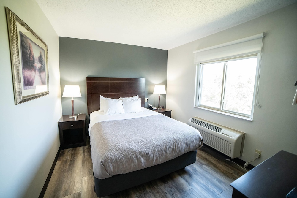 Upgrade, Suite, Queen Bed, Sofa