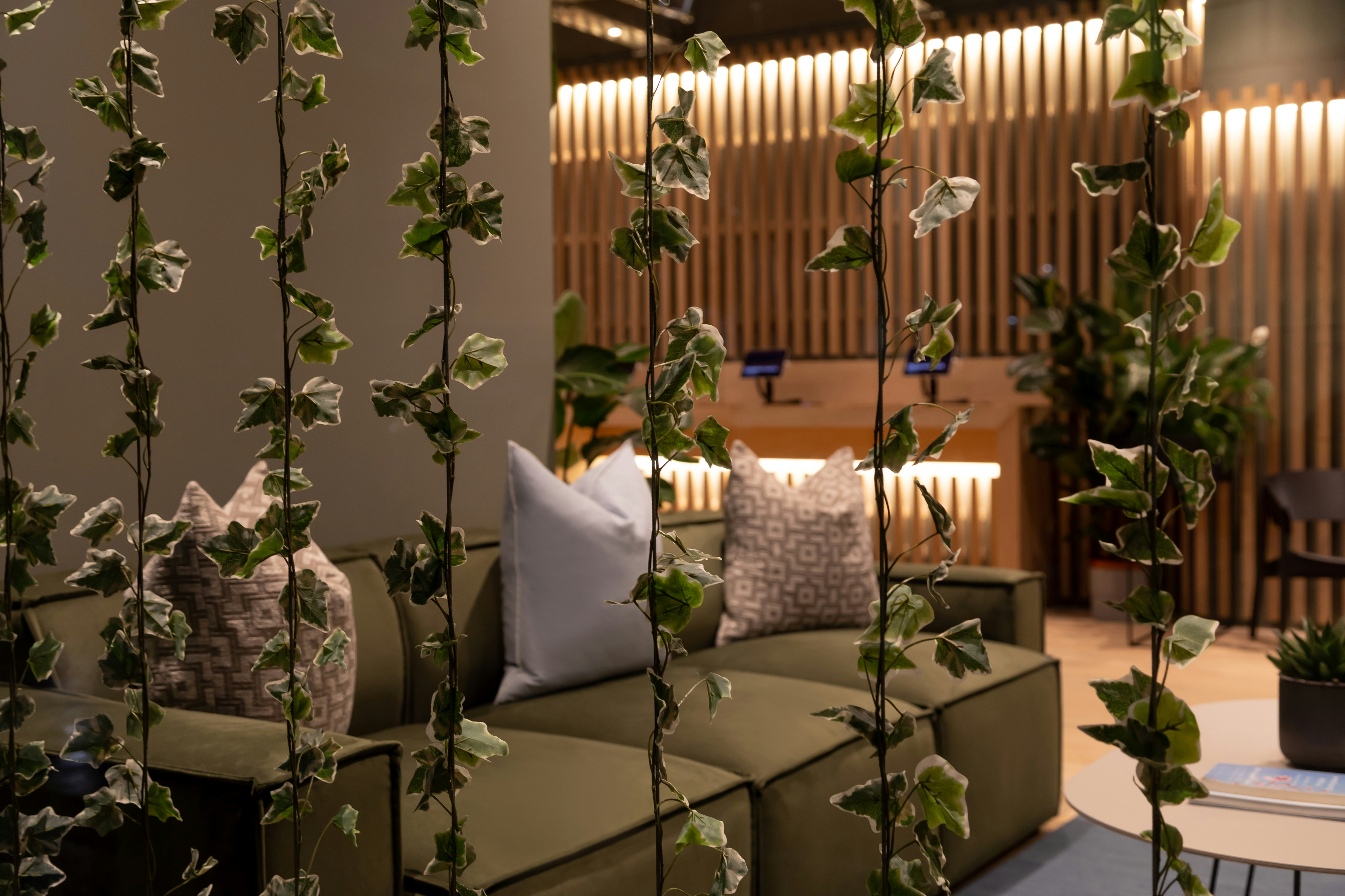 Zedwell Greenwich 27/34