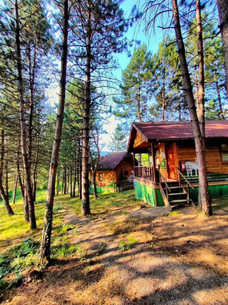 Campinari Doga Evleri & Restaurant 18/50