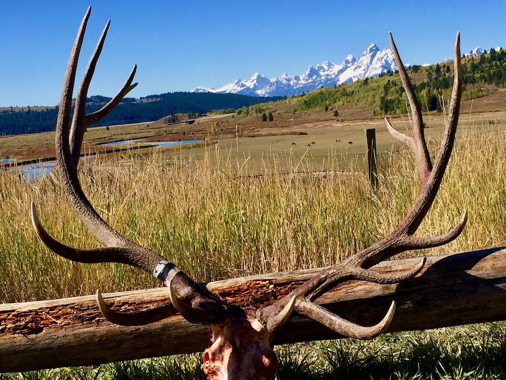 Buffalo Valley Ranch 18/27