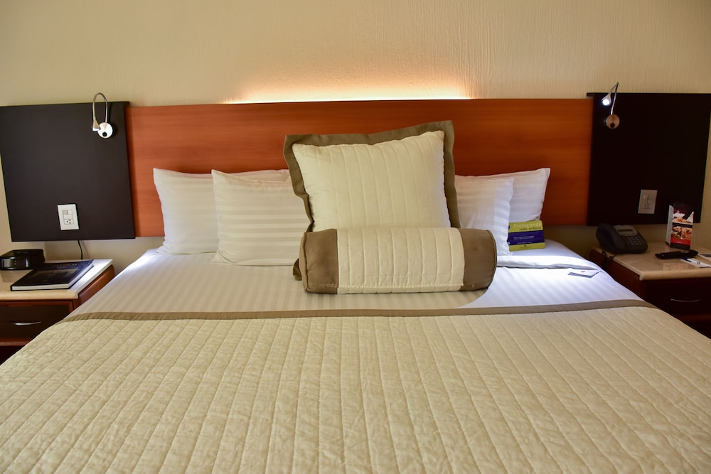 Guadalajara Plaza Expo Business Class 18/50