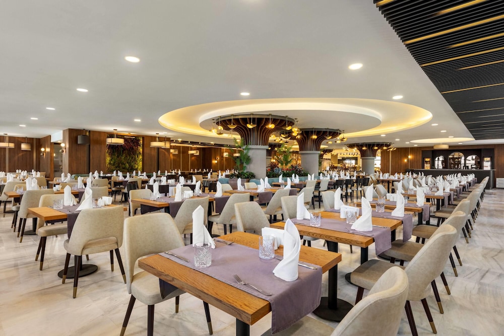 Wyndham Afyonkarahisar Thermal and Spa 45/61