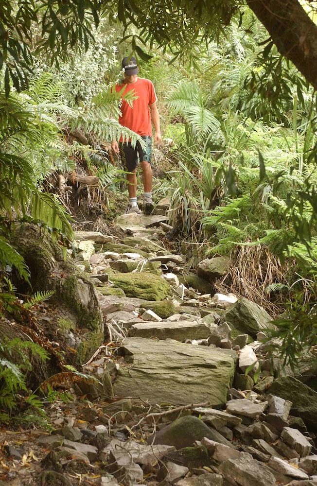 The Fernery Lodge & Chalets 19/50
