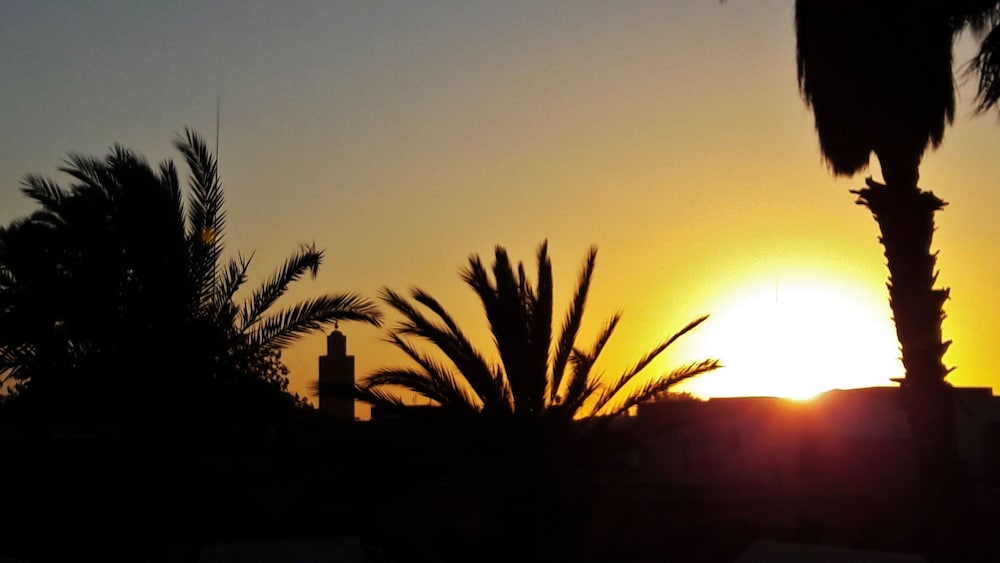 Riad Houma 35/50