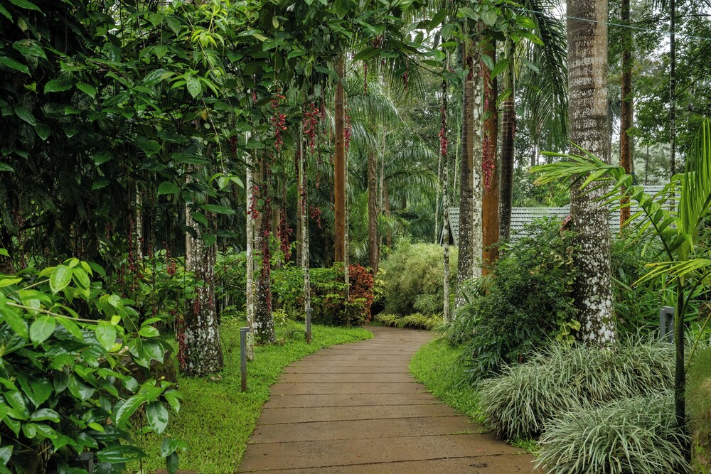 The Woods Resort 42/48