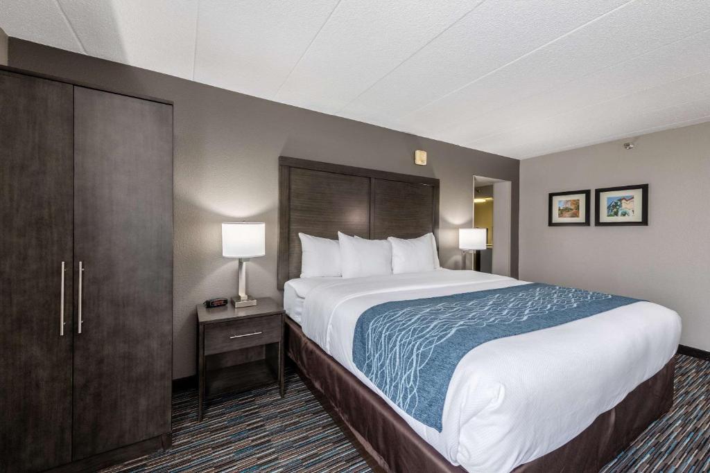 Efficiency, Suite, King Bed