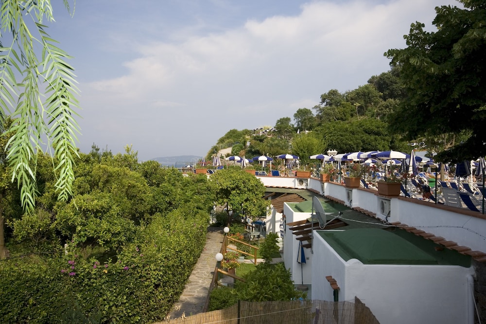 Hotel Oasi Castiglione 7/75