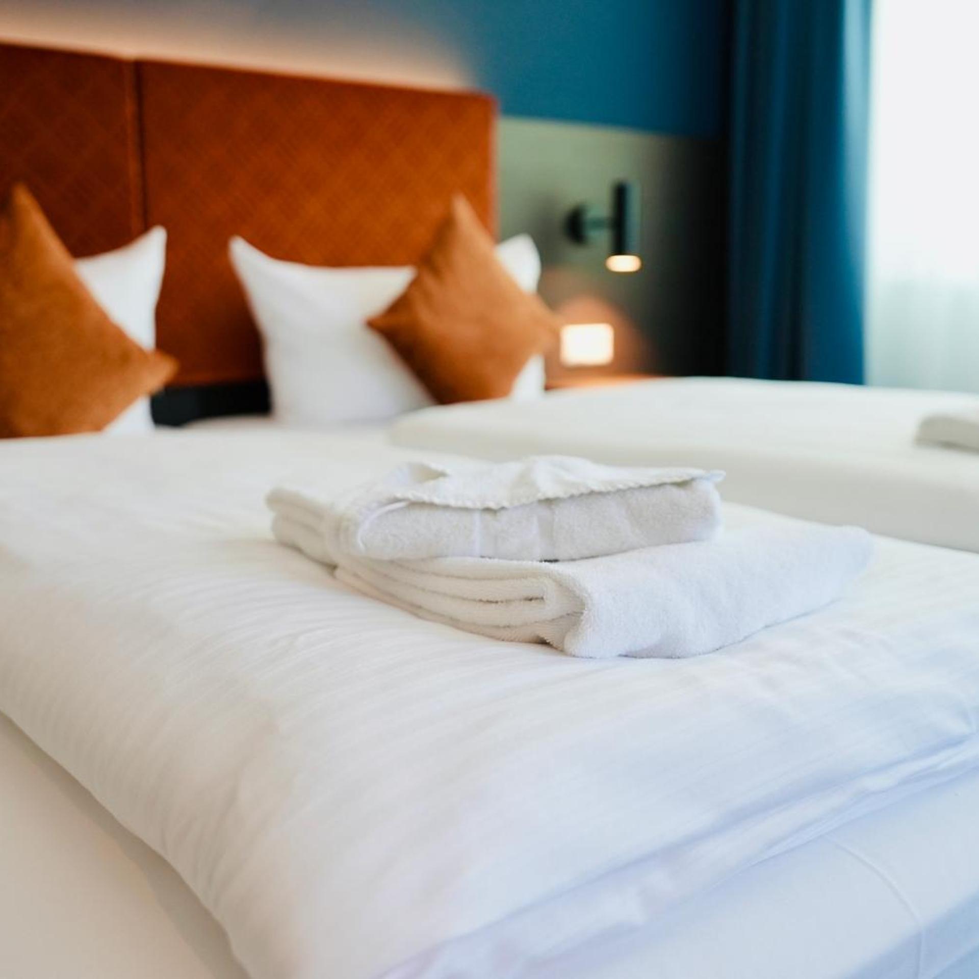 غرفة بسرير مزدوج أو سريرين منفصلين، Comfort Hotel Wiesbaden Ost 3/10