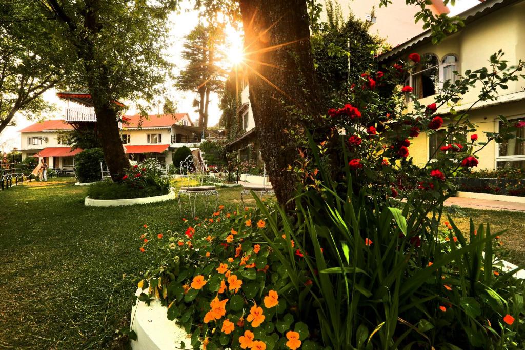 Alps Resorts 37/47