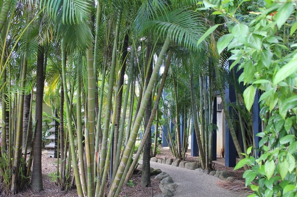 BOHEMIA RESORT CAIRNS 37/45