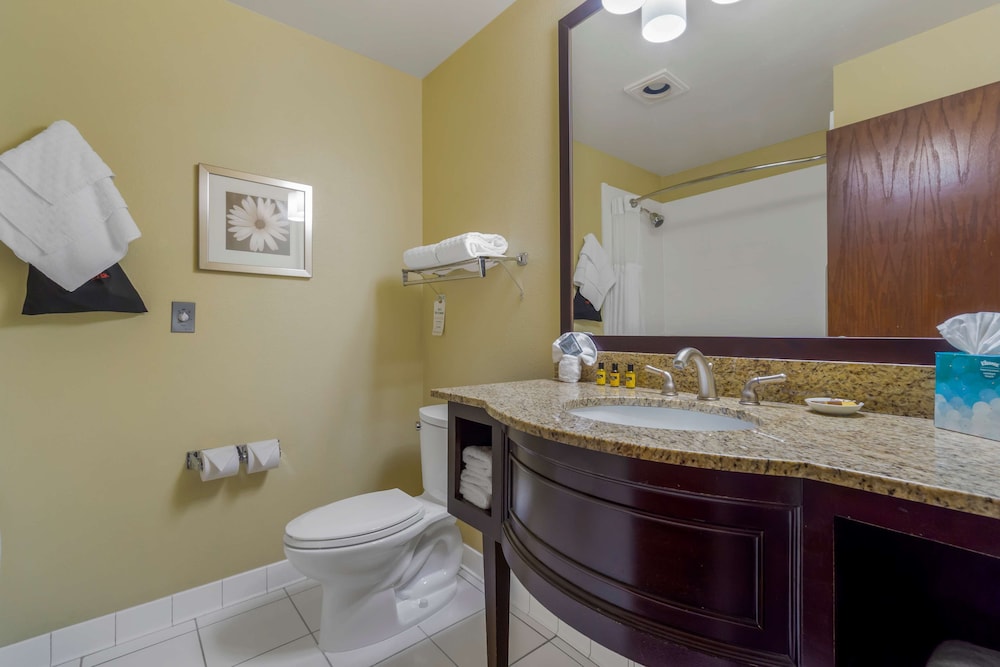 Standard, Queen Bed, Best Western Plus Plaza by the Green 8/9